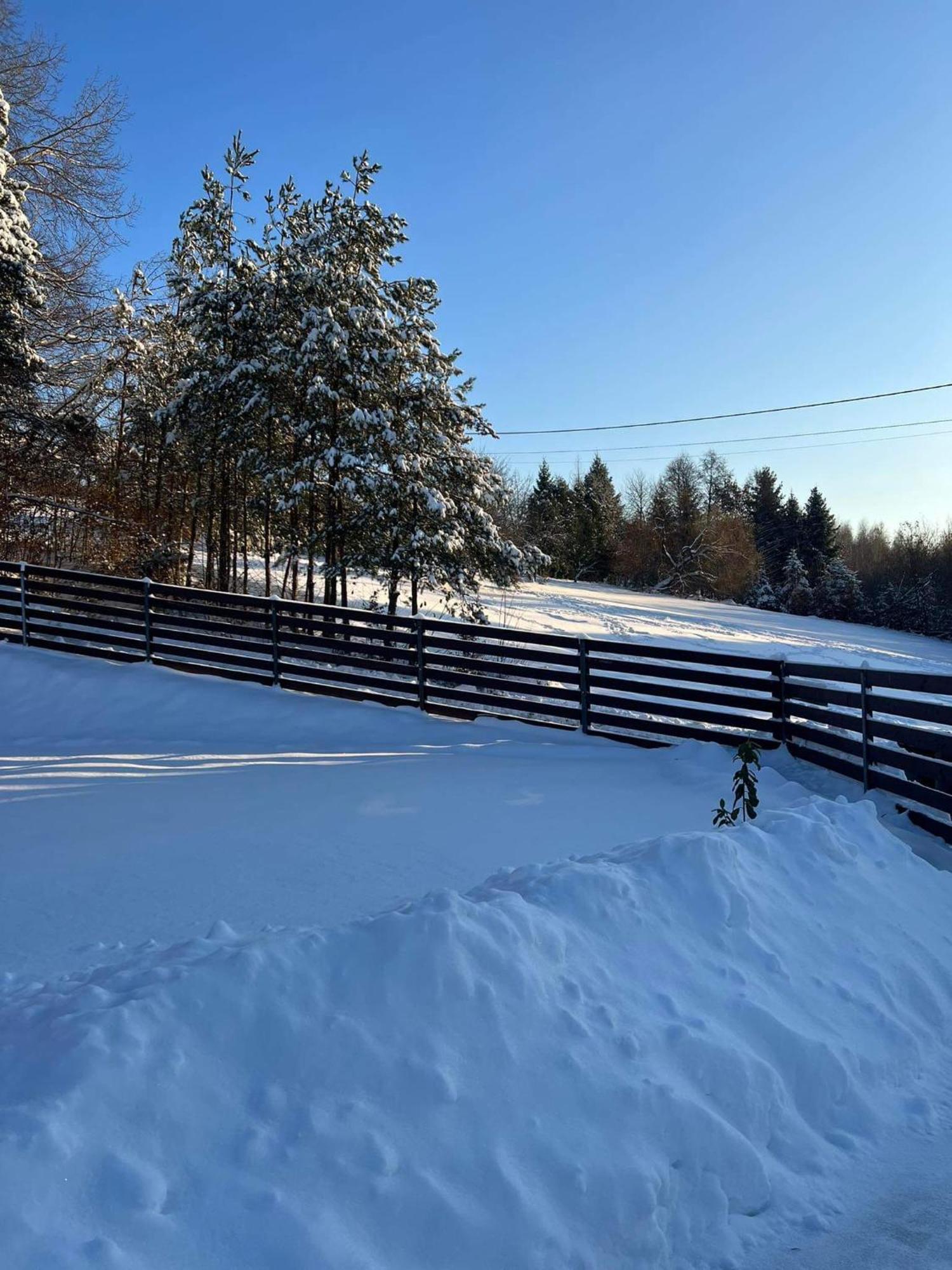 Dom na Borówkowym Wzgórzu Palesnica Exterior foto