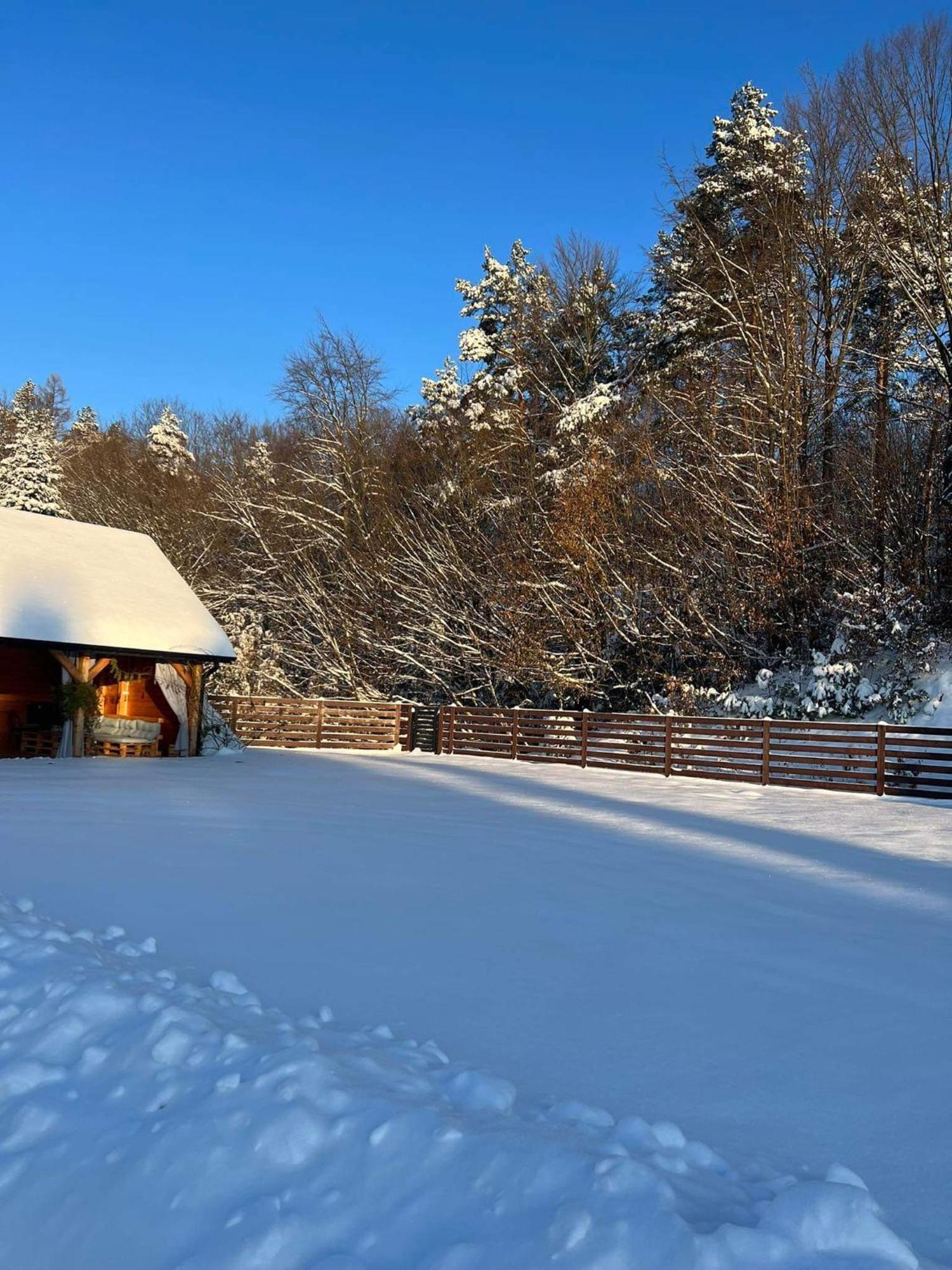 Dom na Borówkowym Wzgórzu Palesnica Exterior foto